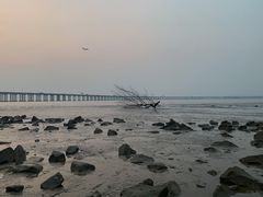 -宝安西湾红树林湿地公园