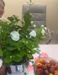 -产后帮产后修复(首城国际店)