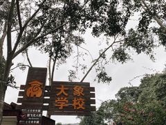 -野象谷景区