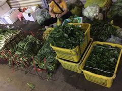 -三亚新鸿港水果一级批发市场