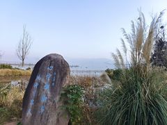 -西昌邛海湿地