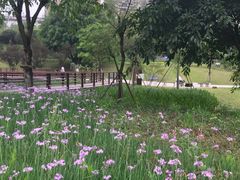 -沐仙湖湿地公园