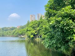-重庆彩云湖湿地公园