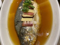 -老克勒上海菜(南京路步行街店)