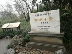 -西湖外事游船(花港观鱼码头)