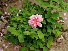 -御花园·粤菜·海鲜火锅(中山公园店)