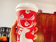 -瑞幸咖啡(江苏国家数字出版基地店)