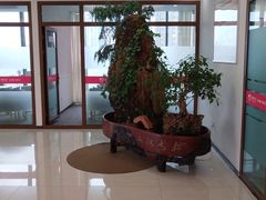 -爱月宝月嫂·育儿嫂