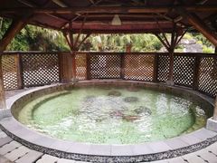 -雅安楠水阁温泉酒店