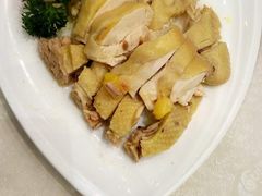-鹅城