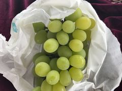 -美家乐农庄·露营·团建(大治路店)