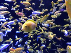 -成都浩海立方海洋公园