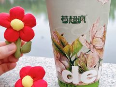 -莓超疯(百源店)