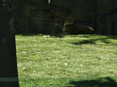 -北京野生动物园