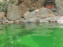 -湖泉半山温泉
