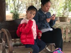 -上海都市菜园