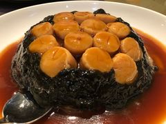 發財瑤柱脯-東海薈。拉斐特(青衣城店)