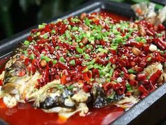 -百岁鱼(望月路店)