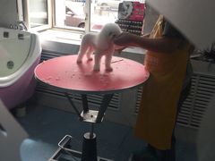 -瑞派宠物医院·24小时骨科·心脏·核磁(哈尔滨南岗店)