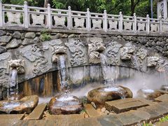 -蝴蝶泉公园