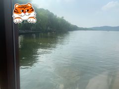 -西湖外事游船(花港观鱼码头)