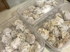 鲜虾蟹仔云吞-袁记云饺(邯郸路店)