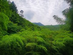 -藏龙百瀑风景区