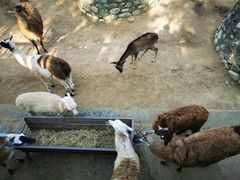 -西安秦岭野生动物园