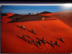 -罗红摄影艺术馆