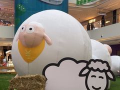 -阳光天地