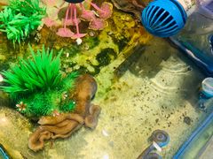 -V-ONE西雅图海鲜自助餐厅(仓山万达广场店)