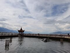 -洱海月湿地公园