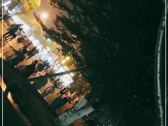-高东镇樱花园