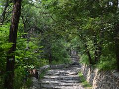 -阳台山自然风景区