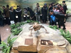 -自贡恐龙博物馆