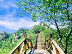 -大岭沟猕猴桃谷风景区