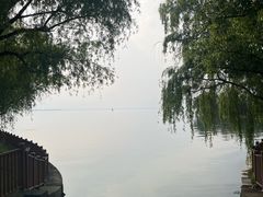 -东方绿舟景区