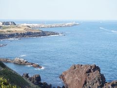 -涉地可支