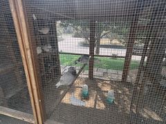 -青岛鑫江温德姆酒店
