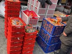 -东方鼎信农副产品交易中心