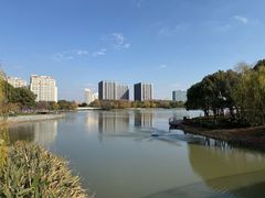 -南翔镇银翔湖公园