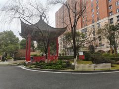 -复旦大学附属中山医院(西院区)