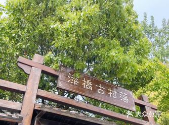 #南京周边|在高淳寻春 🧏🏻‍♀️打卡被雪藏的高