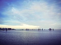 -碧海金沙