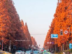 -江苏省美术馆(长江路新馆)