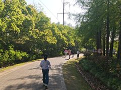 -上海海湾国家森林公园