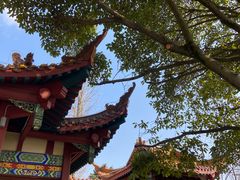 -富乐山