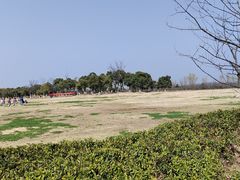 -苏州太湖国家湿地公园