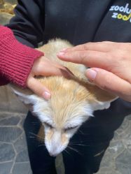 -Zoolung Zoolung动物主题公园(海信广场店)