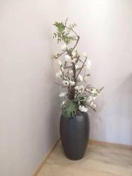 -酉嘉瑜伽YO+YOGA